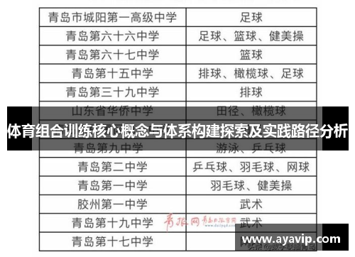 体育组合训练核心概念与体系构建探索及实践路径分析